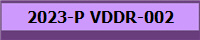2023-P VDDR-002