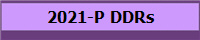 2021-P DDRs
