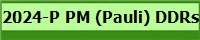 2024-P PM (Pauli) DDRs